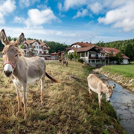 Отель Ekoturizem Hudicevec Постойна Экстерьер фото